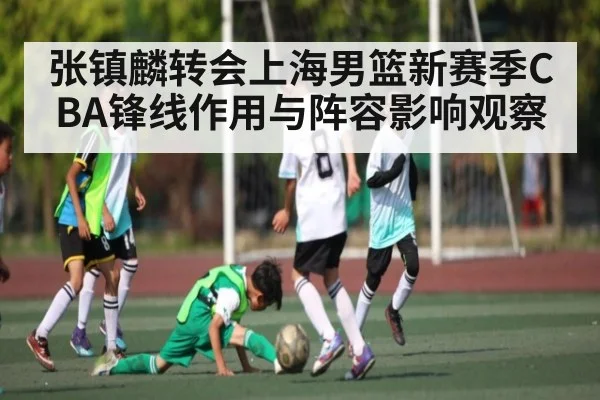 张镇麟转会上海男篮新赛季CBA锋线作用与阵容影响观察
